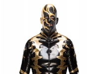 达斯汀·罗兹（Dustin Rhodes）