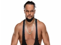 博·达拉斯（Bo Dallas）