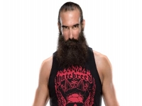 卢克哈珀（Luke Harper）