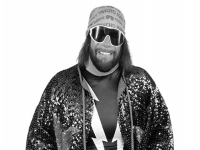 兰迪·萨瓦格（Randy Savage）