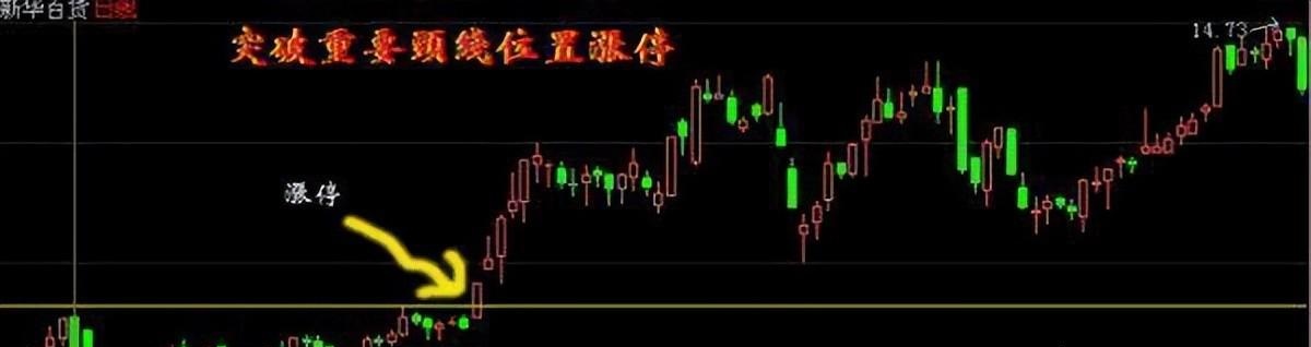20230407125526_33188_看图王.jpg