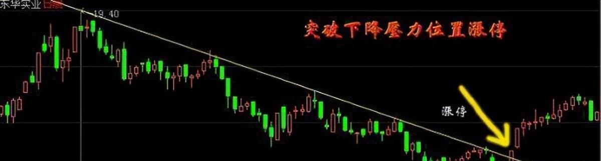 20230407125526_50834_看图王